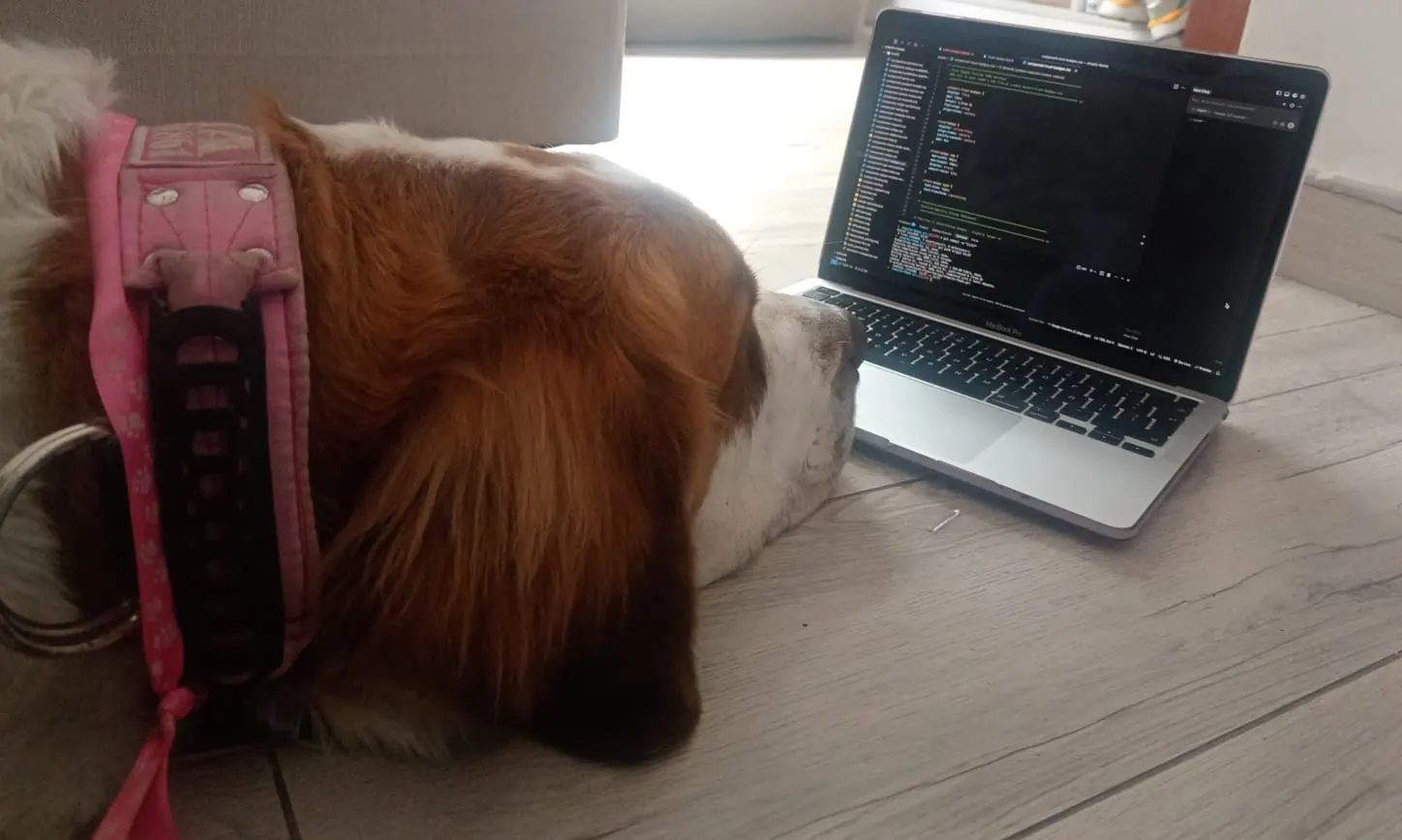 Mia the St. Bernard sleeping next to laptop